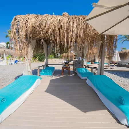 The Norm Oriental ケメル