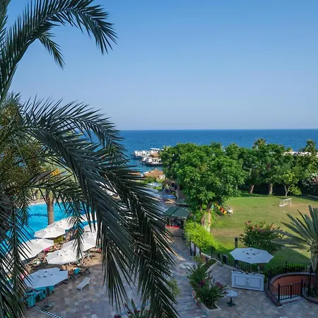 リゾート The Norm Oriental